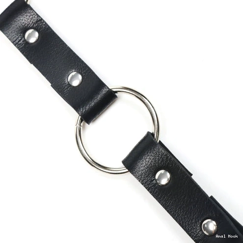 Kinky Leash Collar Anal with 5853 and EverydayUse Hook 0915